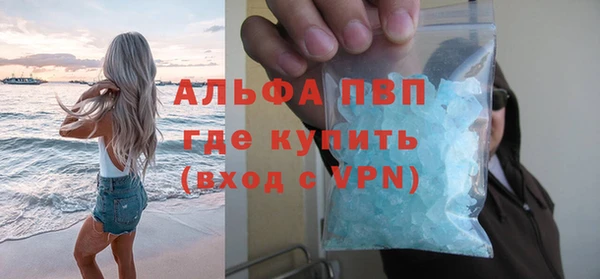 Альфа ПВП Новозыбков