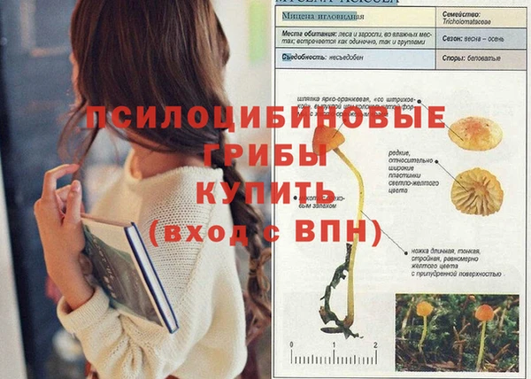 не бодяженный Новокубанск