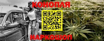 бошки Кимры