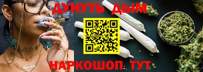 молекула духа Кингисепп