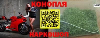 молекула духа Кингисепп