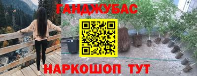 бошки Кимры