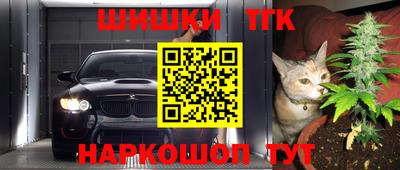 молекула духа Кингисепп