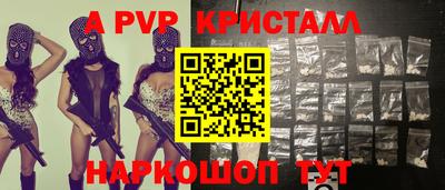 молекула духа Кингисепп