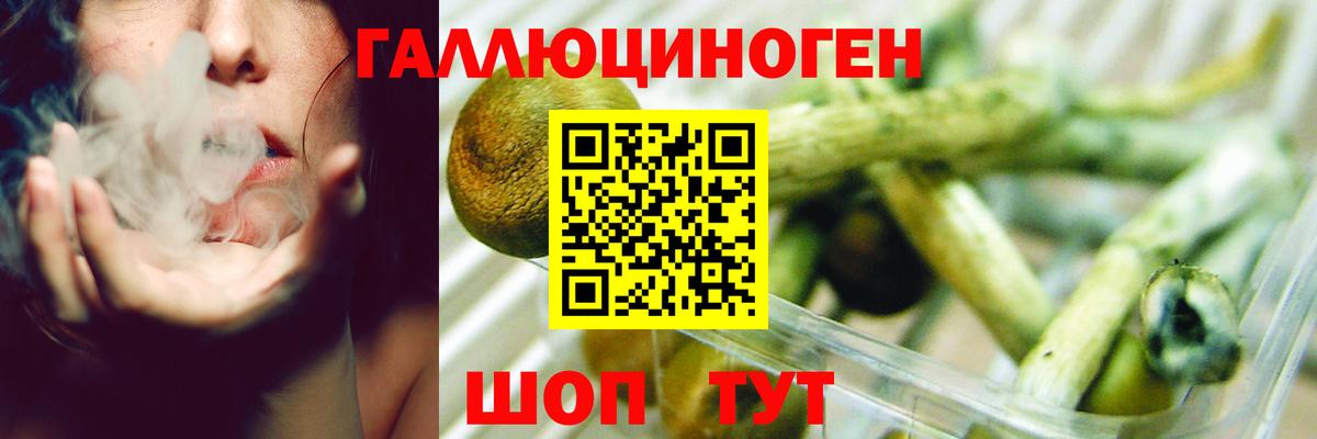 Псилоцибиновые грибы ЛСД  Галлюциногенные грибы MAGIC MUSHROOMS  Балтийск  Вход с VPN 